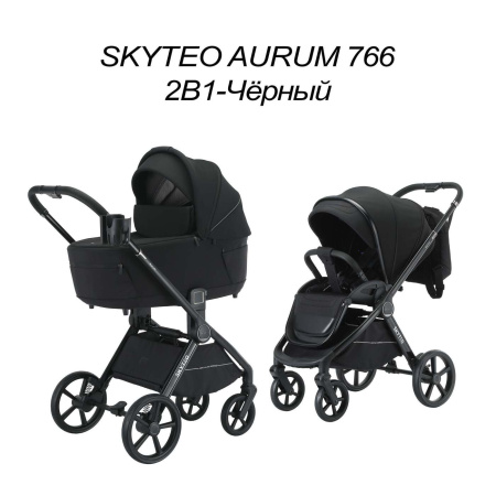 Коляска 3в1 SkyTeo Aurum 766 Черный