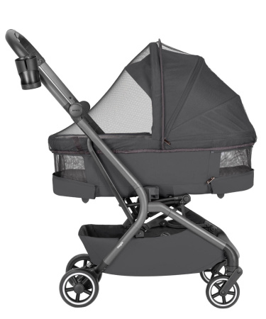 Коляска 2в1 Carrello Magia 6555 Elm Grey