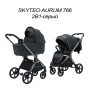 Коляска 3в1 SkyTeo Aurum 766 Серый
