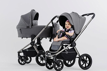 Коляска 2в1 Rant Flex Pro Grey