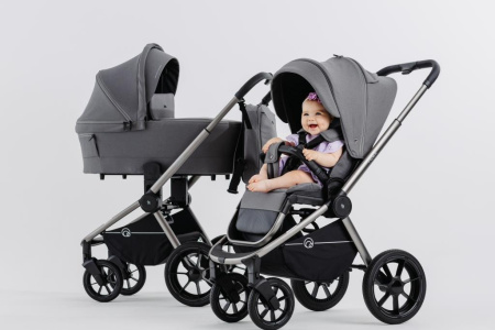 Коляска 2в1 Rant Flex Pro Grey