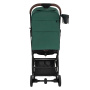 Коляска прогулочная Pituso Mini Emerald Mood
