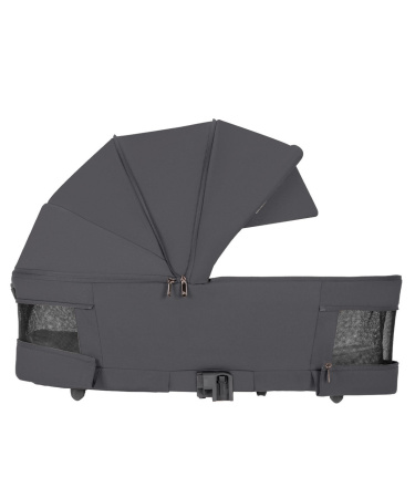 Коляска 2в1 Carrello Magia 6555 Elm Grey