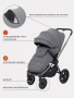 Коляска 2в1 Rant Flex Pro Grey