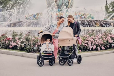 Коляска 3в1 Rant Flex Pro Beige