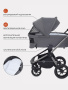 Коляска 2в1 Rant Flex Pro Grey