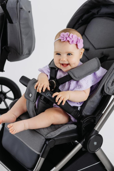 Коляска 2в1 Rant Flex Pro Grey