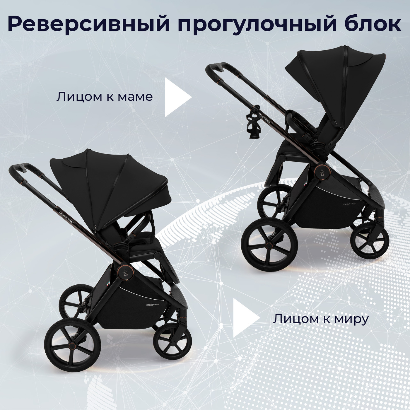 Коляска 2в1 SBL Elegante Therma Black