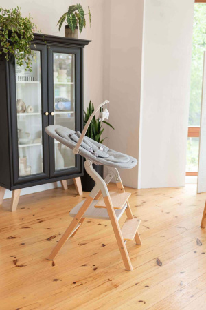 Стул для кормления Carrello Ergo 4в1 16701 Sugar Beige