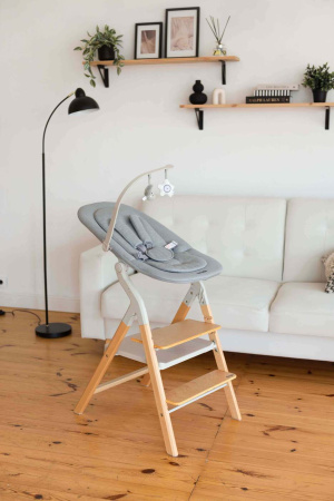 Стул для кормления Carrello Ergo 4в1 16701 Carbon Grey